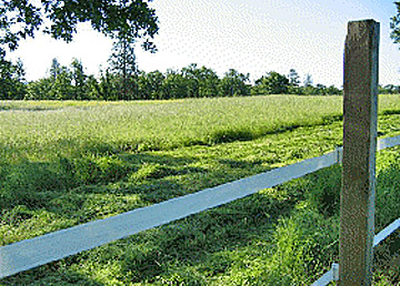 local farm medford